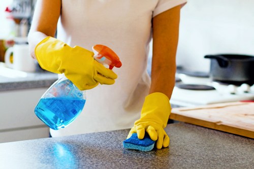 SSL-encrypted payment process for Endoftenancycleanlondon customers