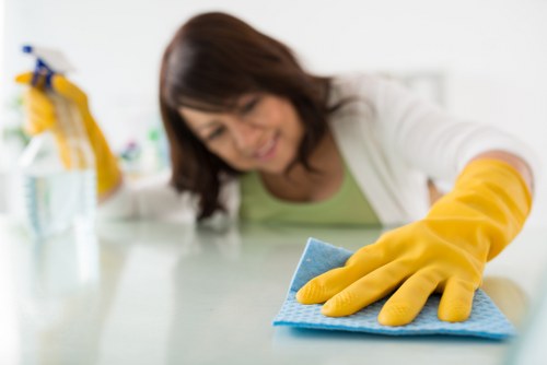 Vacuum and extraction equipment used for end of tenancy carpet cleaning