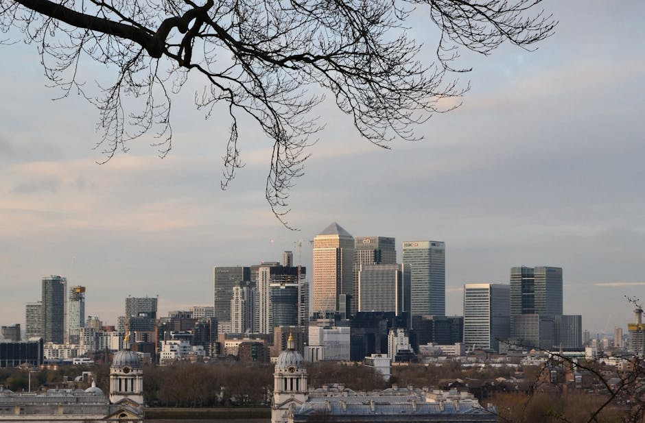 A cityscape view featuring a cluster of modern high-rise office buildings with glass and steel facades situated behind classical white domed structures. In the foreground, leafless tree branches exten