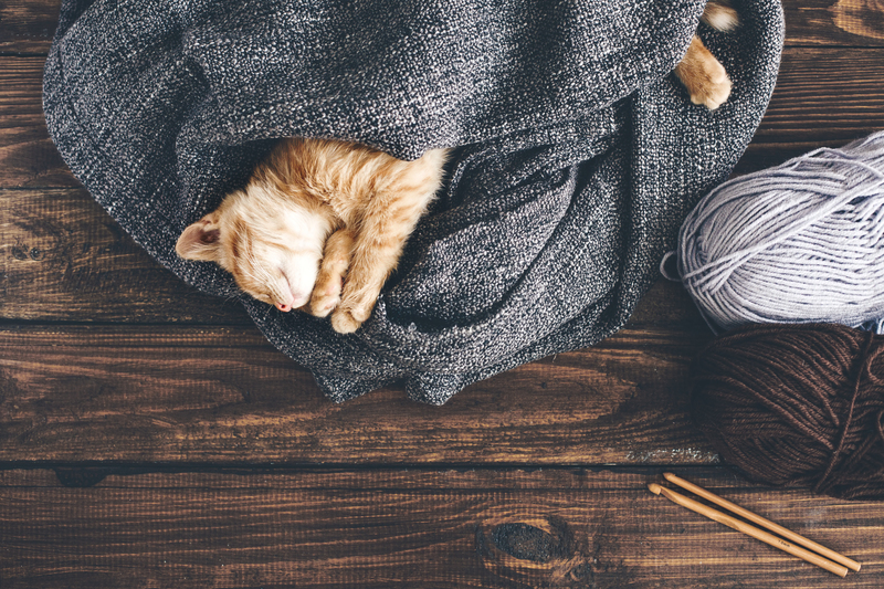 window cleaning professional cleaners